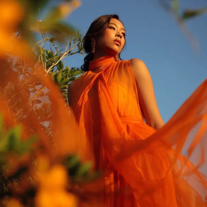 Flowing Orange Chiffon Dress with High Neckline Flowing Orange Chiffon Dress with High Neckline — Classy Orange Outfits
