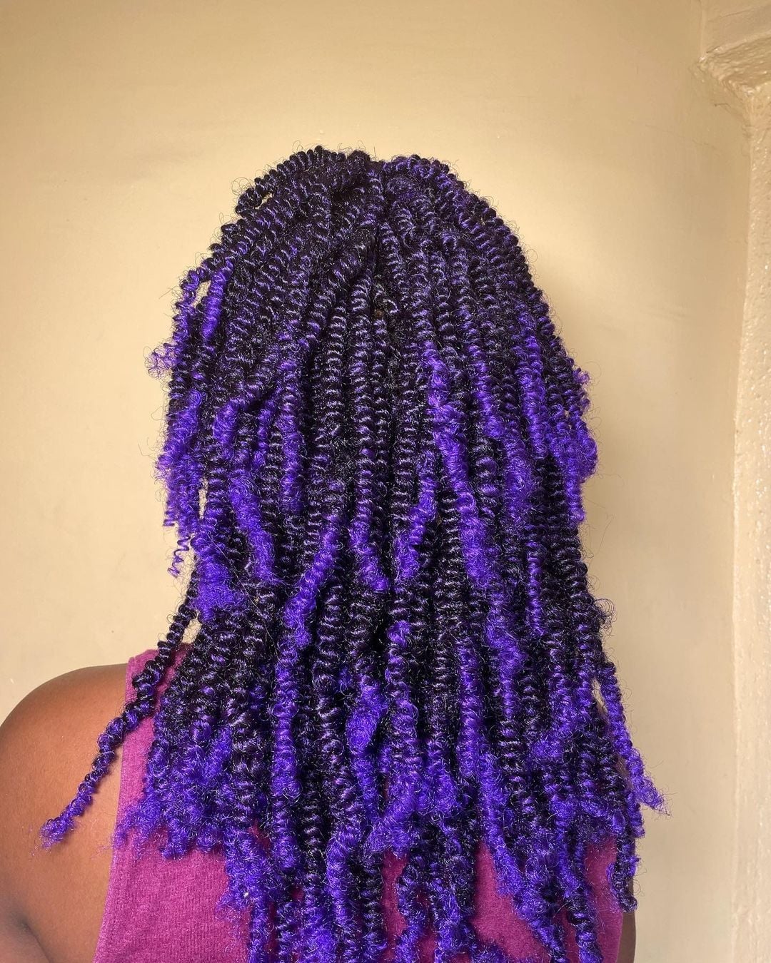 Wavy Purple and Black Twist Braids Back View Wavy Purple and Black Twist Braids Back View — Classy Purple Braids