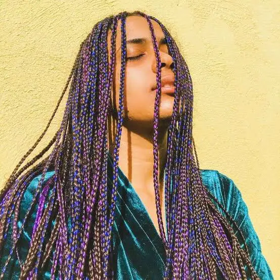 Black Braids with Vibrant Purple Strands Black Braids with Vibrant Purple Strands — Classy Purple Braids
