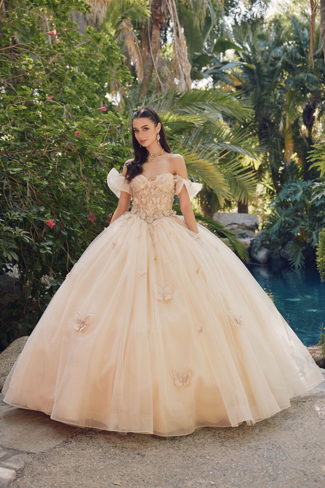 Champagne Ballgown With Butterfly Appliques, Close-Up Take Champagne Ballgown With Butterfly Appliques, Close-Up Take — Classy Quince Dress