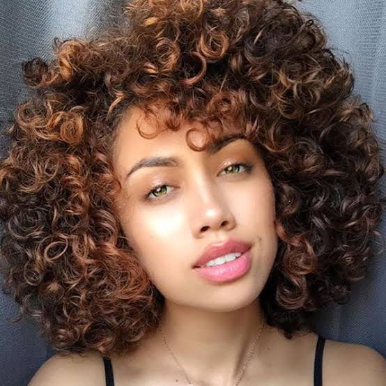 Ear Length Curly Cut With Auburn And Honey Highlights Ear Length Curly Cut With Auburn And Honey Highlights — Classy Rich Brunette