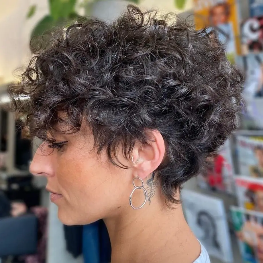 Short Dark Brown Voluminous Pixie Short Dark Brown Voluminous Pixie — Classy Short Curly Hair