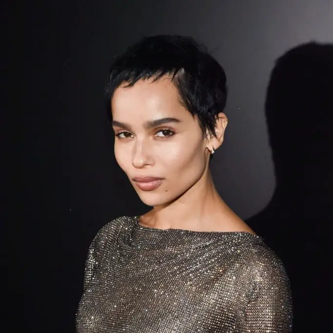 Choppy Black Pixie With Tousled Bangs Choppy Black Pixie With Tousled Bangs — Classy Short Hair Pixie