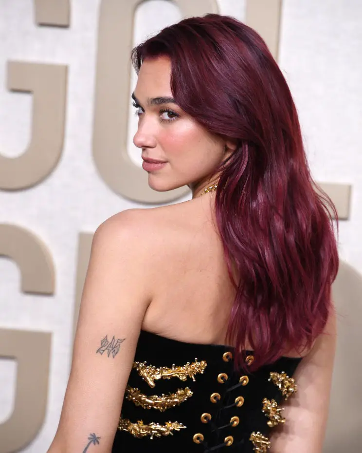 Deep Plum Red Mid-Back Layers — Classy Wine Red Hair