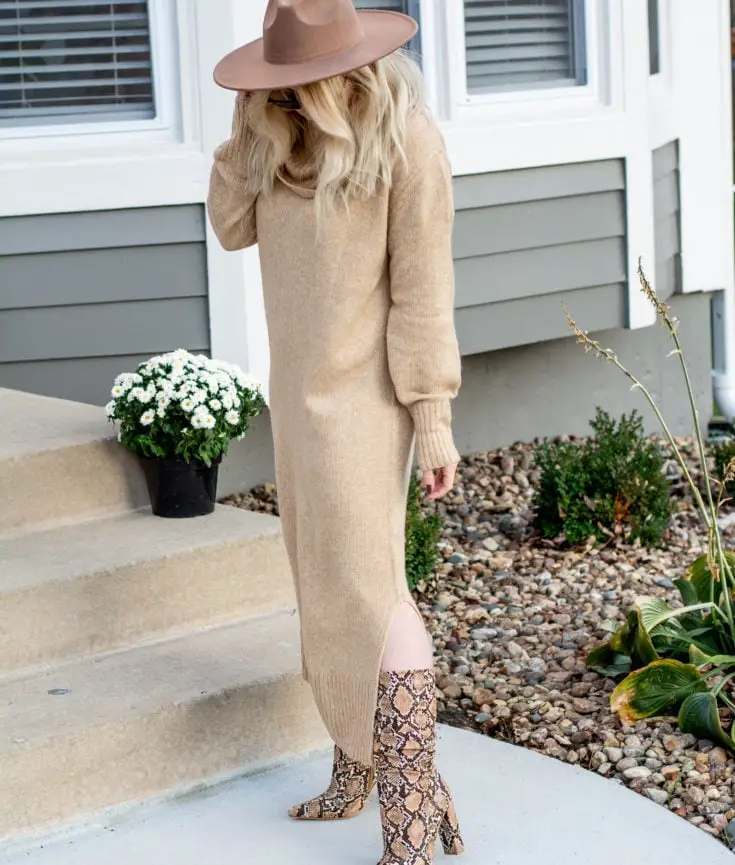 Long Knit Dress with Snakeskin Boots Long Knit Dress with Snakeskin Boots — Classy Zoo Outfits
