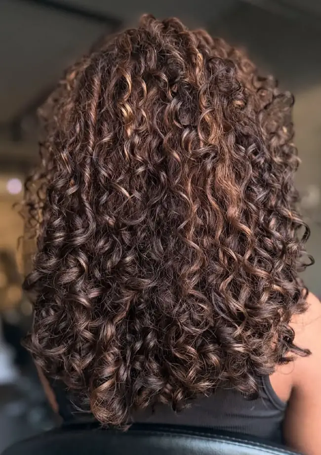 Mid-Back Dark Brown With Caramel Brown Highlights, Close-Up Take — Curly Hair Dye Inspiration