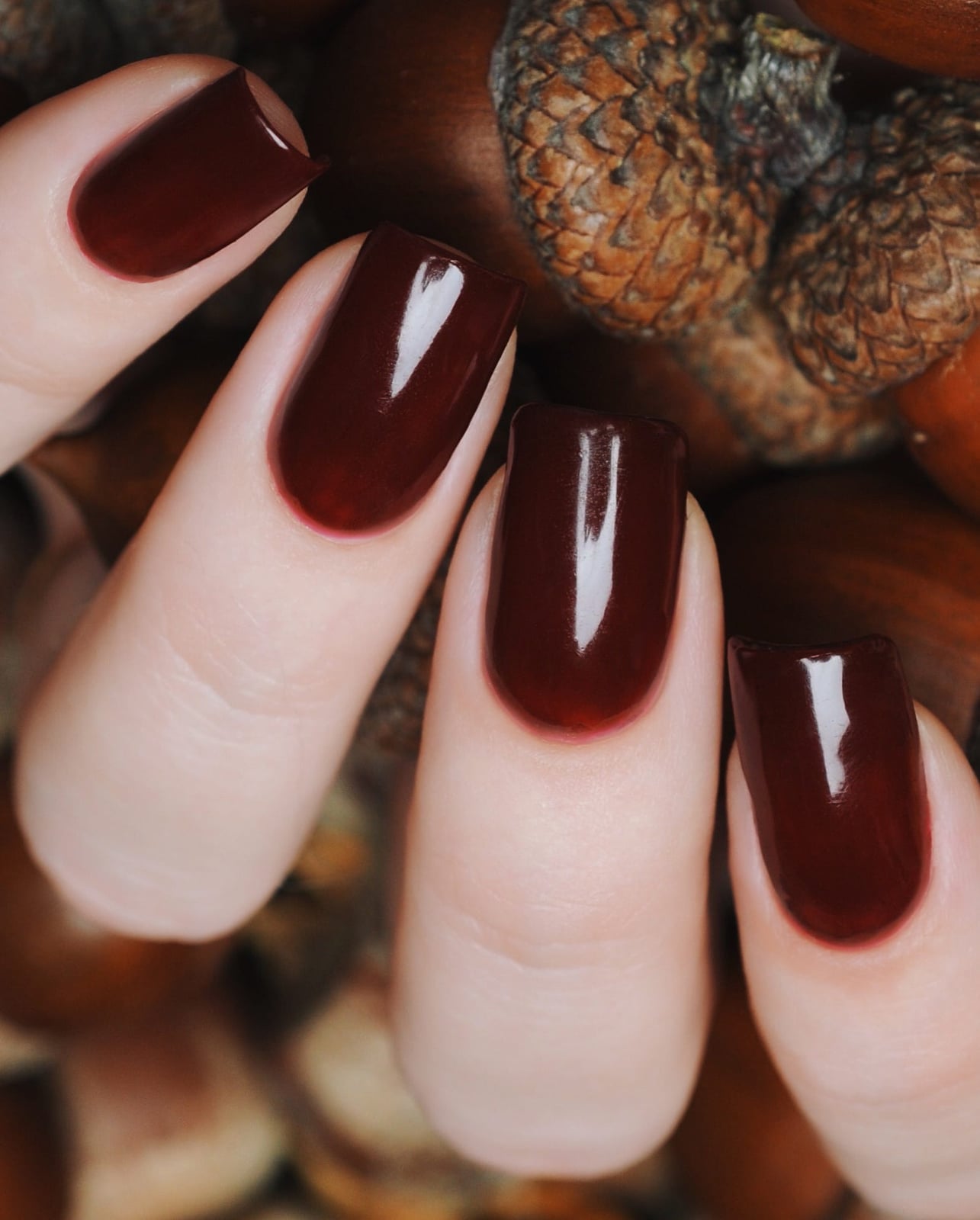 Rich Reddish-Brown Short Square Nails Rich Reddish-Brown Short Square Nails — Cute Dark Nails
