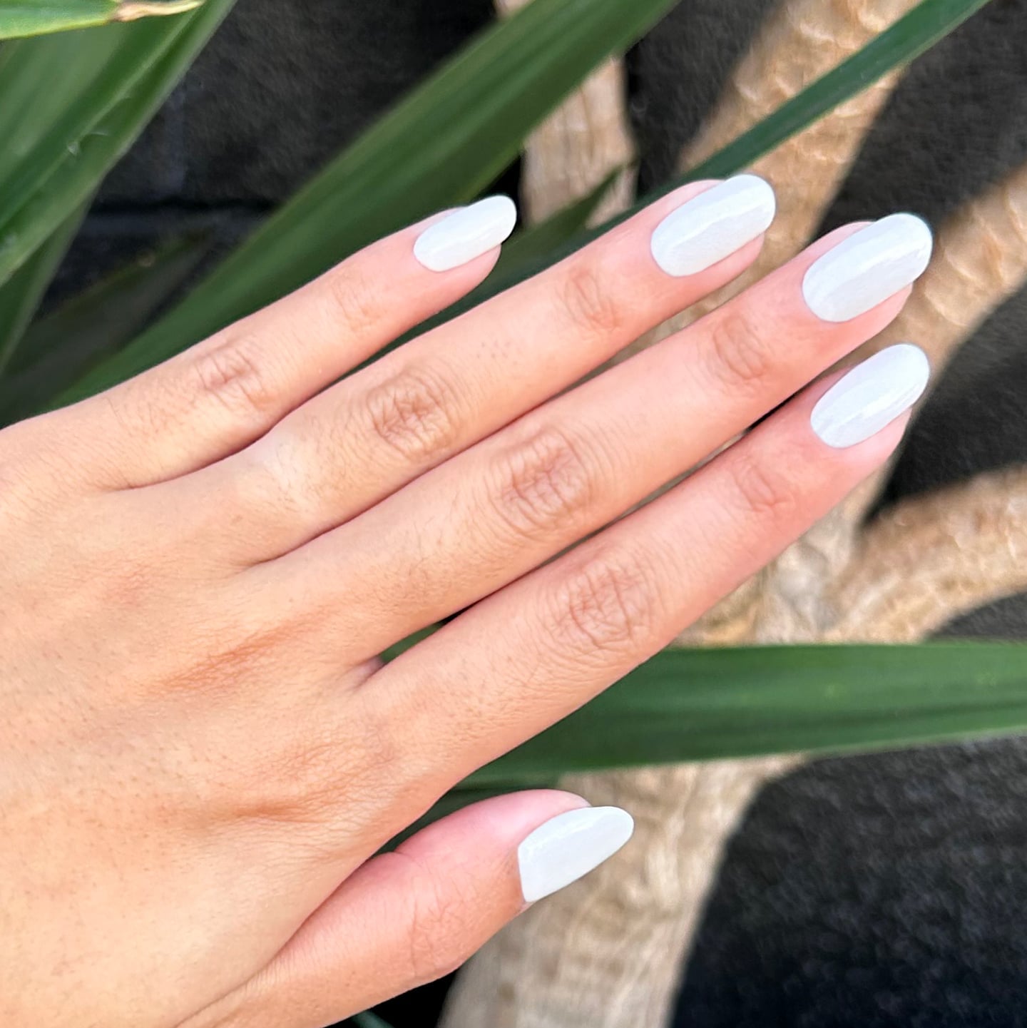Short Almond Milky White Glossy Nails, Close-Up Take Short Almond Milky White Glossy Nails, Close-Up Take — Cute Dip Powder Nails