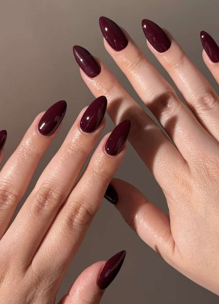 Medium Stiletto Burgundy Nails High Gloss Medium Stiletto Burgundy Nails High Gloss — Cute Wine Nails