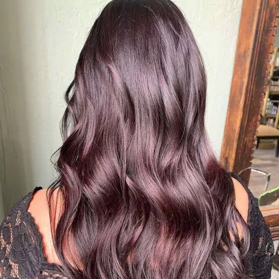 Mid-Back Dark Brown With Deep Purple Tones Mid-Back Dark Brown With Deep Purple Tones — Purple Hair Dye Inspiration