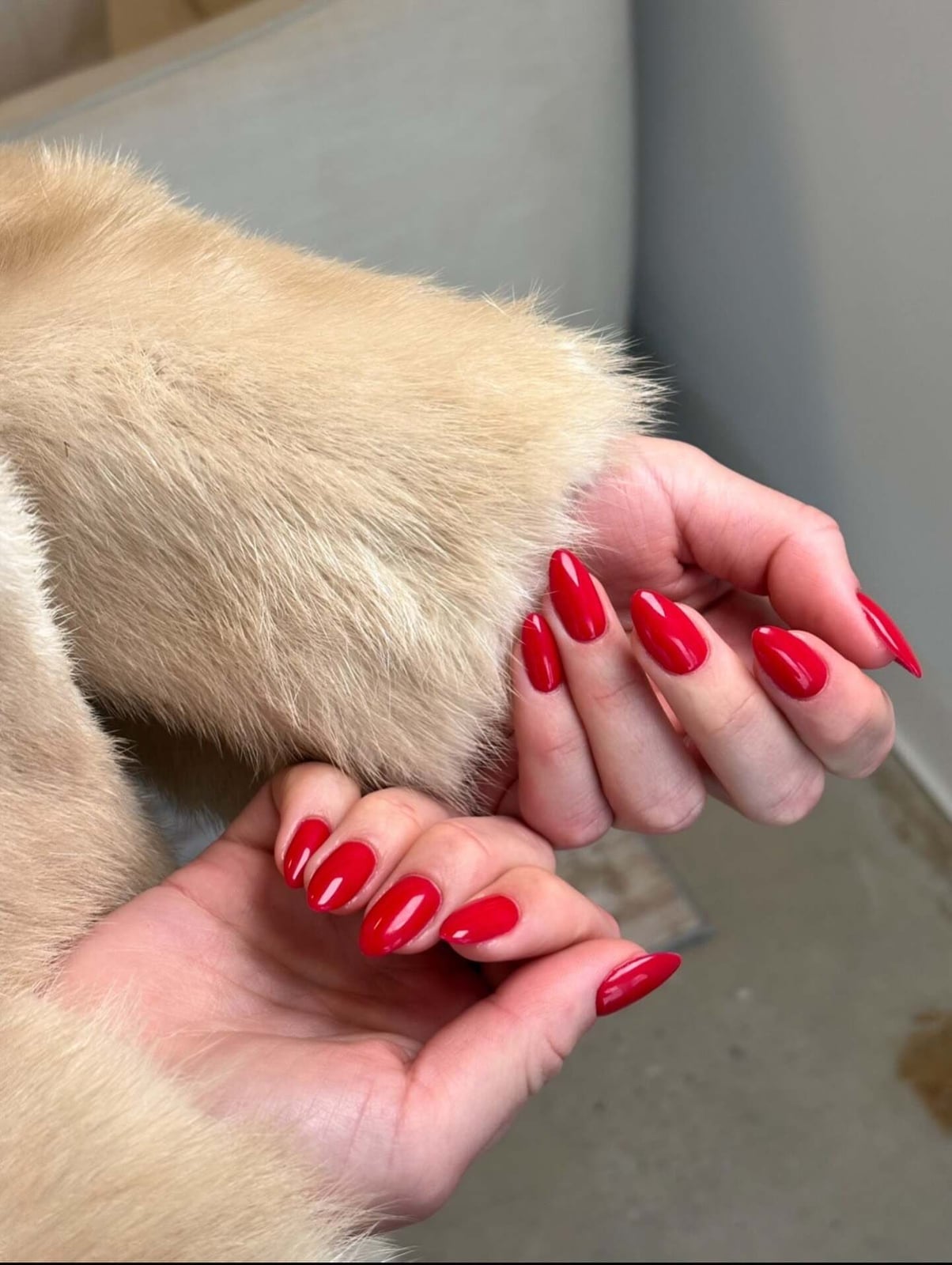Short Oval Vibrant Red Glossy Nails Short Oval Vibrant Red Glossy Nails — Russian Manicure Inspiration