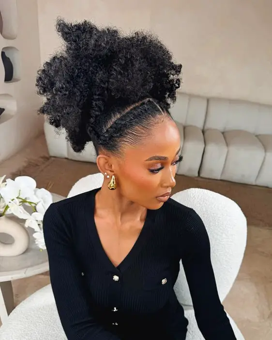 Intricate Braids High Puff — Simple 4b Hairstyles