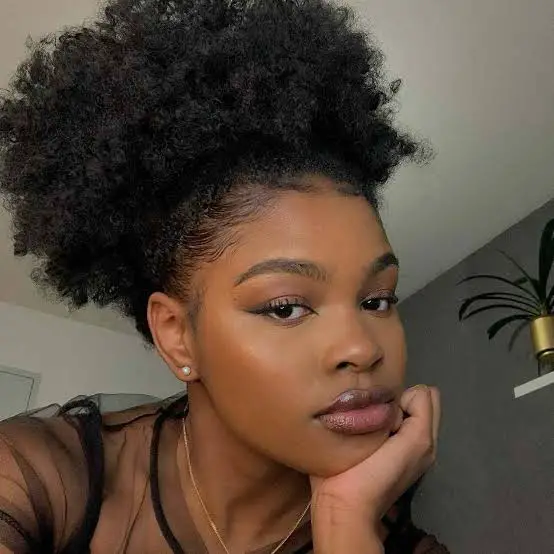 High Puff With Laid Edges — Simple 4b Hairstyles