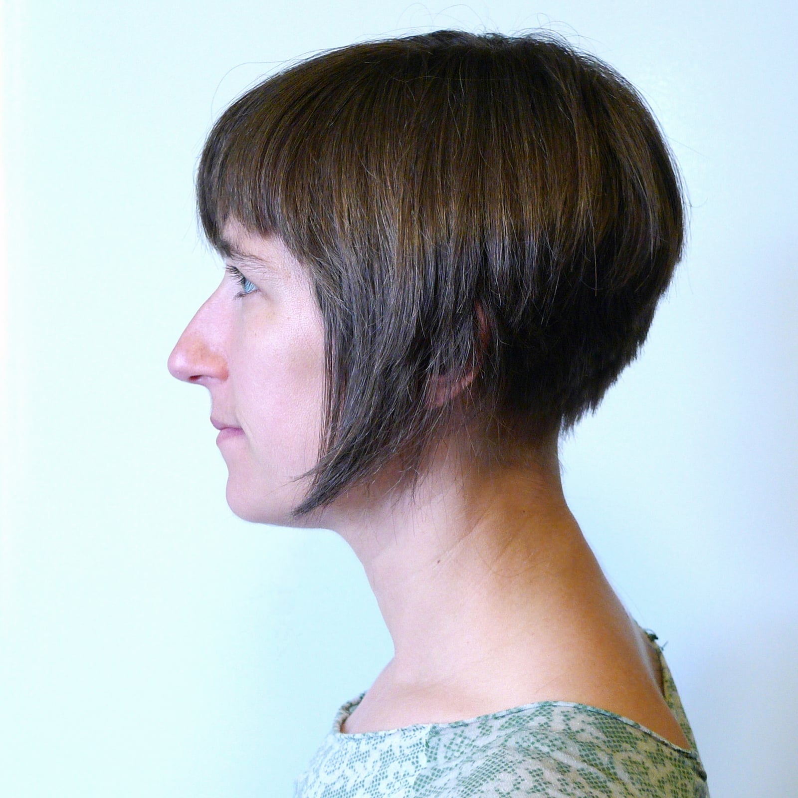 Dark Brown Inverted Bob Angled Line Dark Brown Inverted Bob Angled Line — Simple A-Line Bob