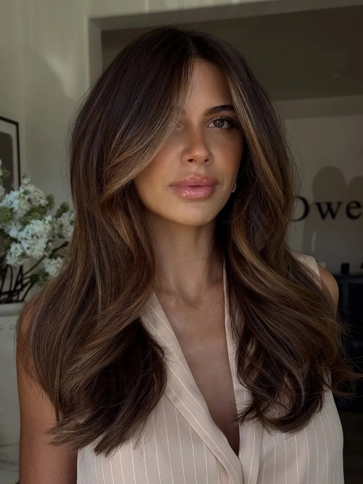 Collarbone Bob Dark Brown With Beige Highlights Collarbone Bob Dark Brown With Beige Highlights — Simple Beige Highlights