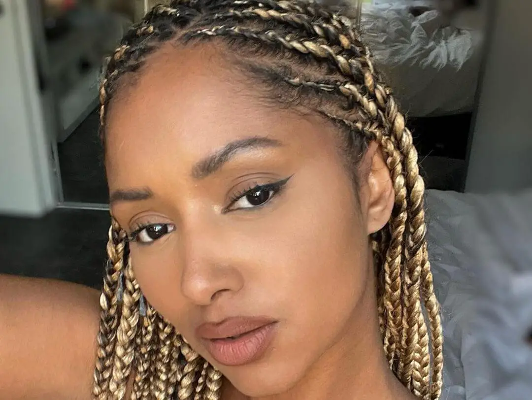 Knotless Box Braids Warm Blonde With Highlights Knotless Box Braids Warm Blonde With Highlights — Simple Blonde Braids