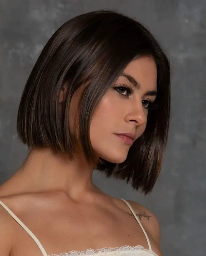 Collarbone Dark Brown Sleek Bob, Straight — Simple Blunt Bob