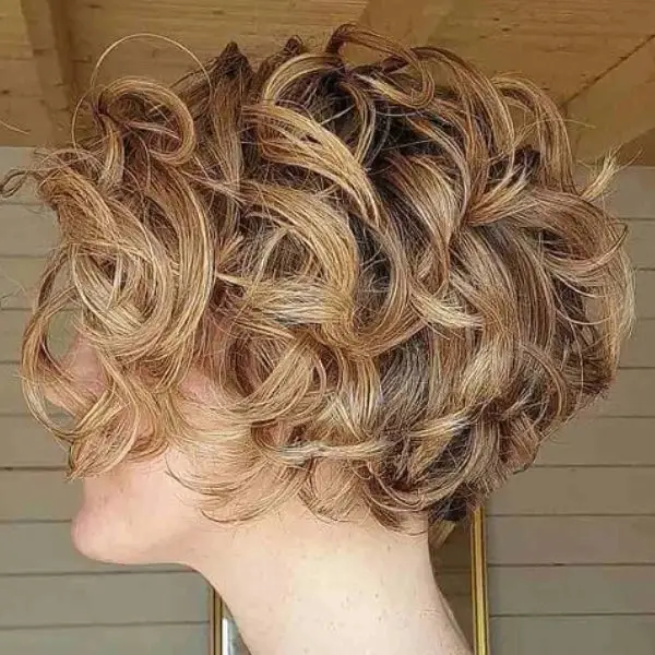 Chin Length Bob With Blonde Highlights And Dense Curls, Curly Chin Length Bob With Blonde Highlights And Dense Curls, Curly — Simple Bob with Curls