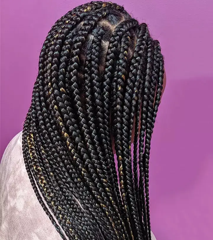 Mid-Back Black Box Braids With Blonde Highlights, Straight Mid-Back Black Box Braids With Blonde Highlights, Straight — Simple Box Braids