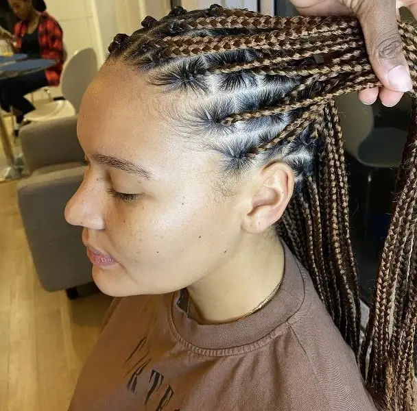 Mid-Back Brown Box Braids With Blonde Highlights, Middle Mid-Back Brown Box Braids With Blonde Highlights, Middle — Simple Box Braids