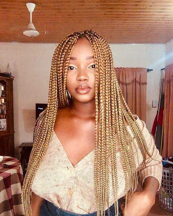 Mid-Back Blonde Box Braids With Highlights Mid-Back Blonde Box Braids With Highlights — Simple Box Braids