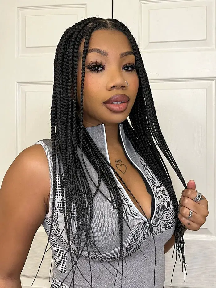 Mid-Back Box Braids With Subtle Blonde Highlights, Straight Mid-Back Box Braids With Subtle Blonde Highlights, Straight — Simple Box Braids Hairstyles