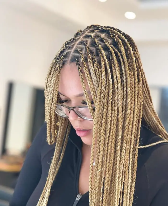 Mid-Back Box Braids With Blonde and Brown Highlights, Middle Mid-Back Box Braids With Blonde and Brown Highlights, Middle — Simple Box Braids Hairstyles
