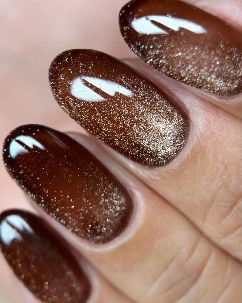 Deep Brown Golden Cat Eye Oval Nails — Simple Brown Chrome Nails