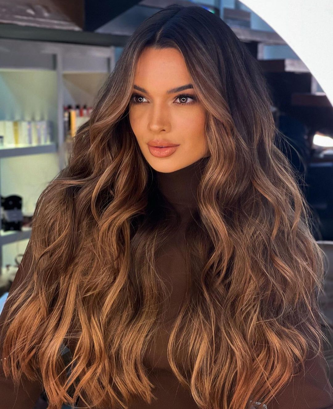 Mid-Back Length Dark Brown With Lighter Brown Highlights Mid-Back Length Dark Brown With Lighter Brown Highlights — Simple Brown Highlights