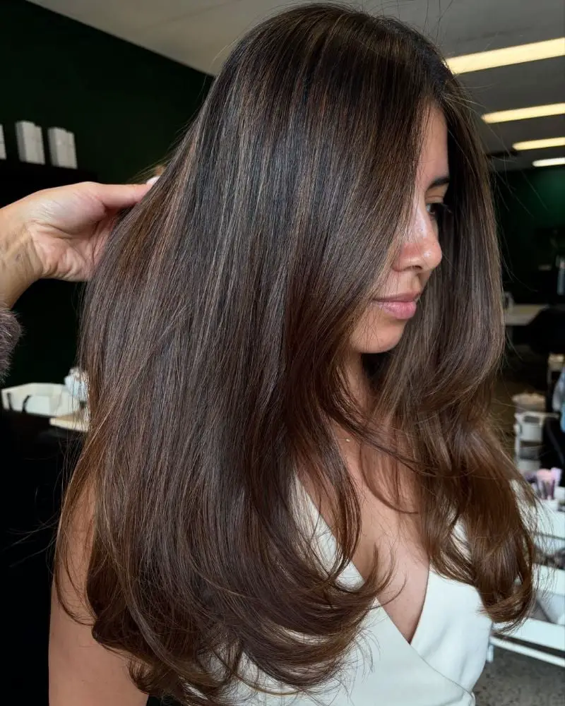 Side View Dark Brown With Subtle Lighter Brown Highlights Side View Dark Brown With Subtle Lighter Brown Highlights — Simple Brown Highlights