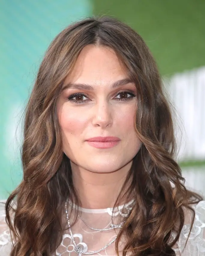 Shoulder Brunette With Caramel Highlights — Simple Brunette Highlights