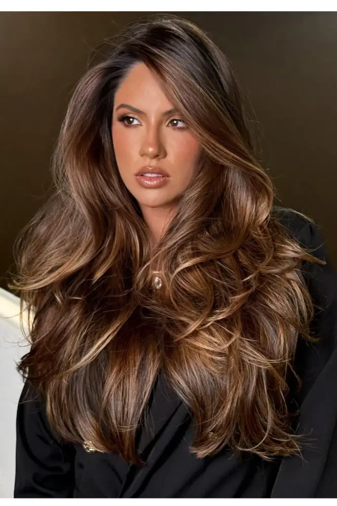 Medium Brown With Honey Blonde Highlights — Simple Brunette Highlights