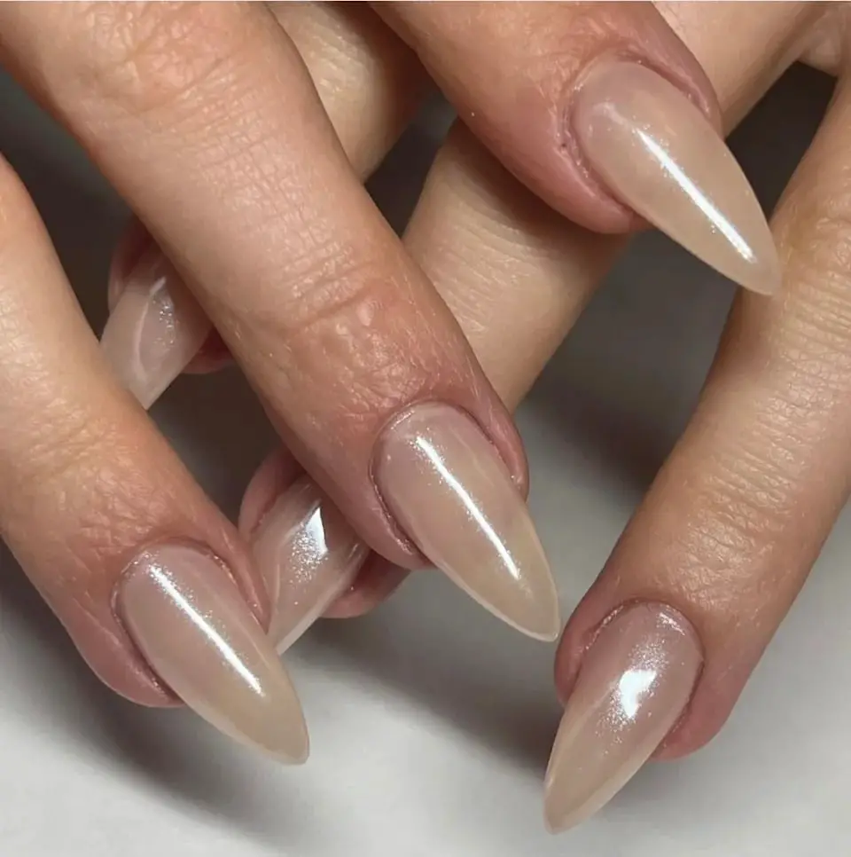 Long Stiletto Pearlescent Champagne Long Stiletto Pearlescent Champagne — Simple Champagne Nails