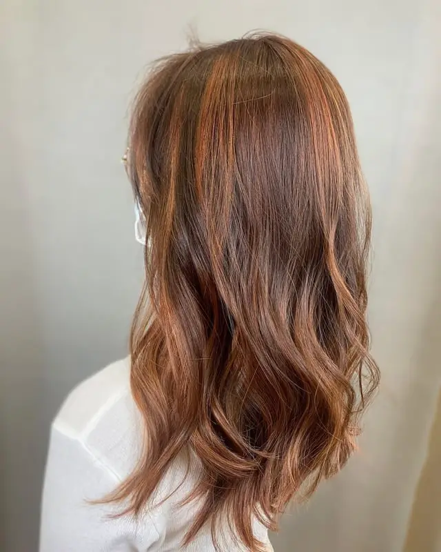 Medium Brown Base With Warm Copper Highlights Medium Brown Base With Warm Copper Highlights — Simple Cinnamon Hair Color