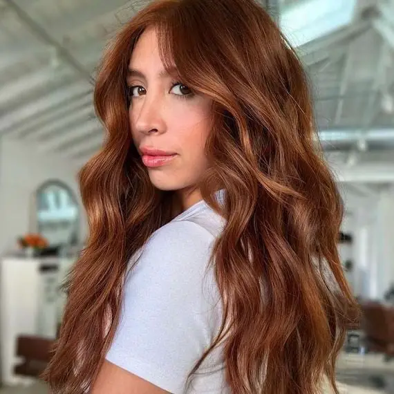 Mid-Back Copper Brown Waves Mid-Back Copper Brown Waves — Simple Copper Hair with Blonde