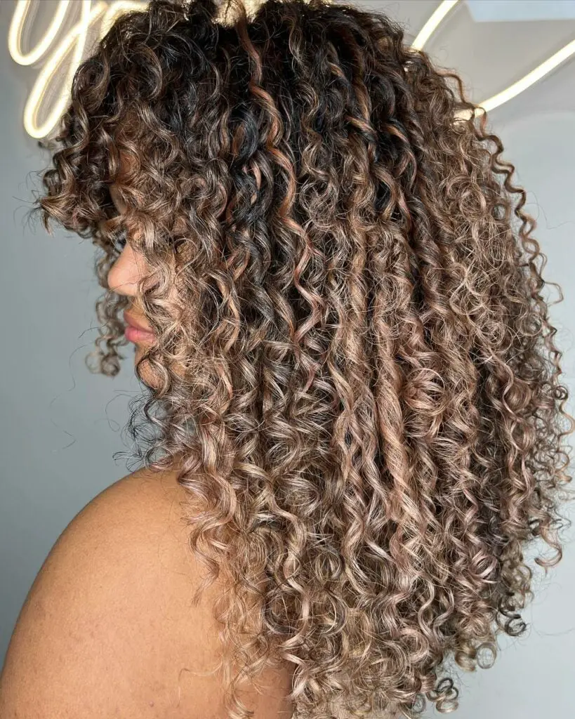 Mid-Back Length With Vibrant Caramel Highlights — Simple Curly Hair Highlights
