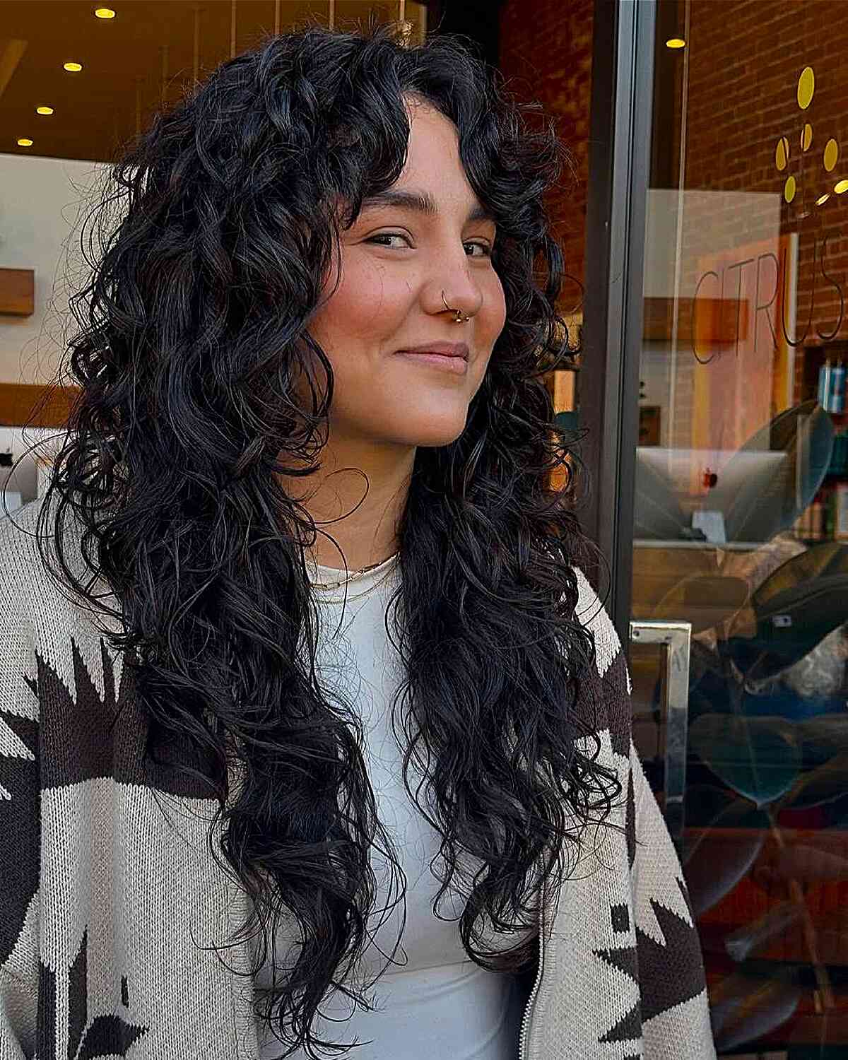 Mid-Back Black Shag With Voluminous Curls — Simple Curly Shag Haircut