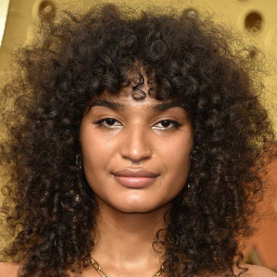 Shoulder Dark Brown Wolf Cut With Caramel Highlights Shoulder Dark Brown Wolf Cut With Caramel Highlights — Simple Curly Wolf Cut