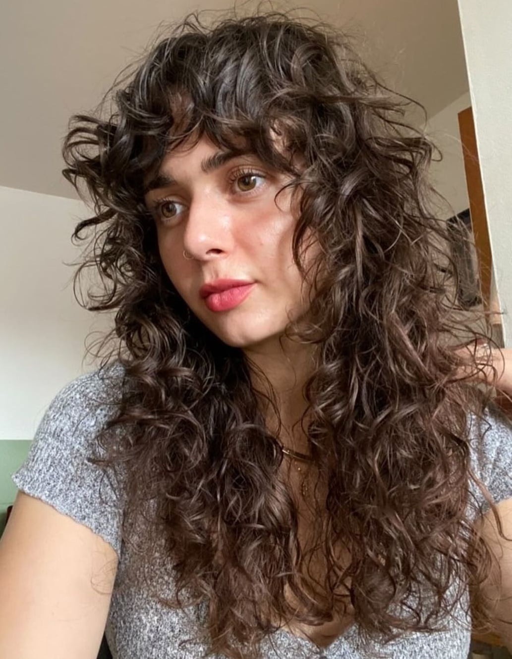 Mid-Back Dark Brown Wolf Cut With Defined Curls Mid-Back Dark Brown Wolf Cut With Defined Curls — Simple Curly Wolf Cut