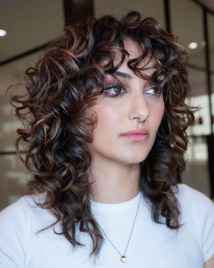 Collarbone Dark Brown Wolf Cut With Highlights Collarbone Dark Brown Wolf Cut With Highlights — Simple Curly Wolf Cut