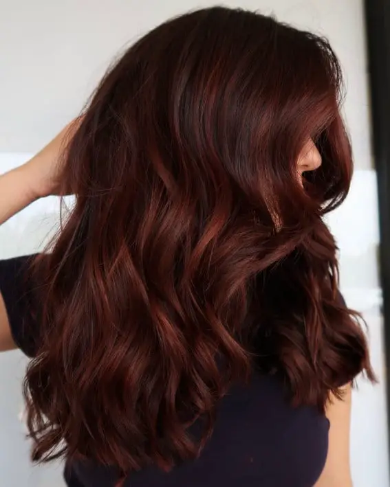 Glossy Dark Auburn Blowout Glossy Dark Auburn Blowout — Simple Dark Auburn Hair