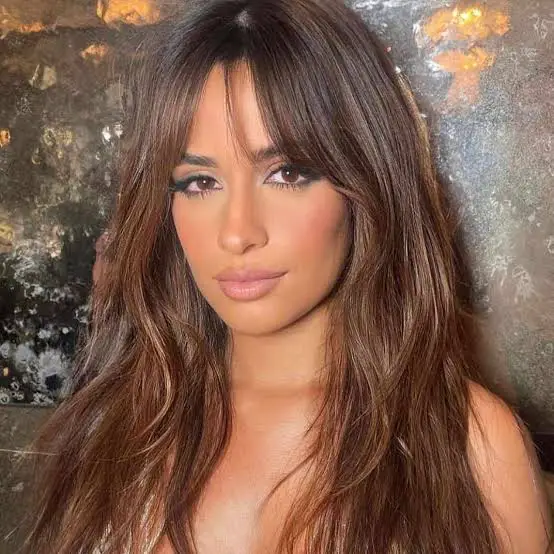 Long Wavy With Curtain Bangs And Caramel Pieces — Simple Dark Brown Hair with Caramel