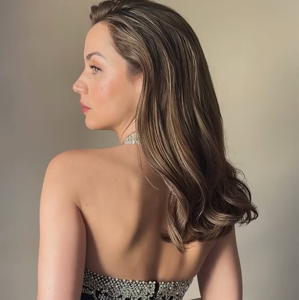 Shoulder-Length Dark Brown With Blonde Highlights — Simple Dark Brown Highlights