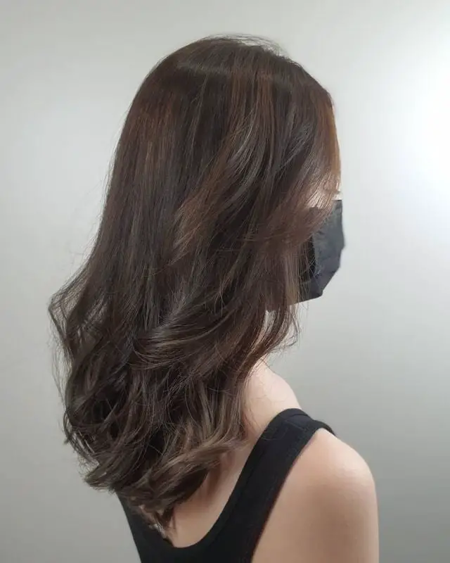 Collarbone Medium Brown With Lighter Highlights — Simple Dark Brown Highlights