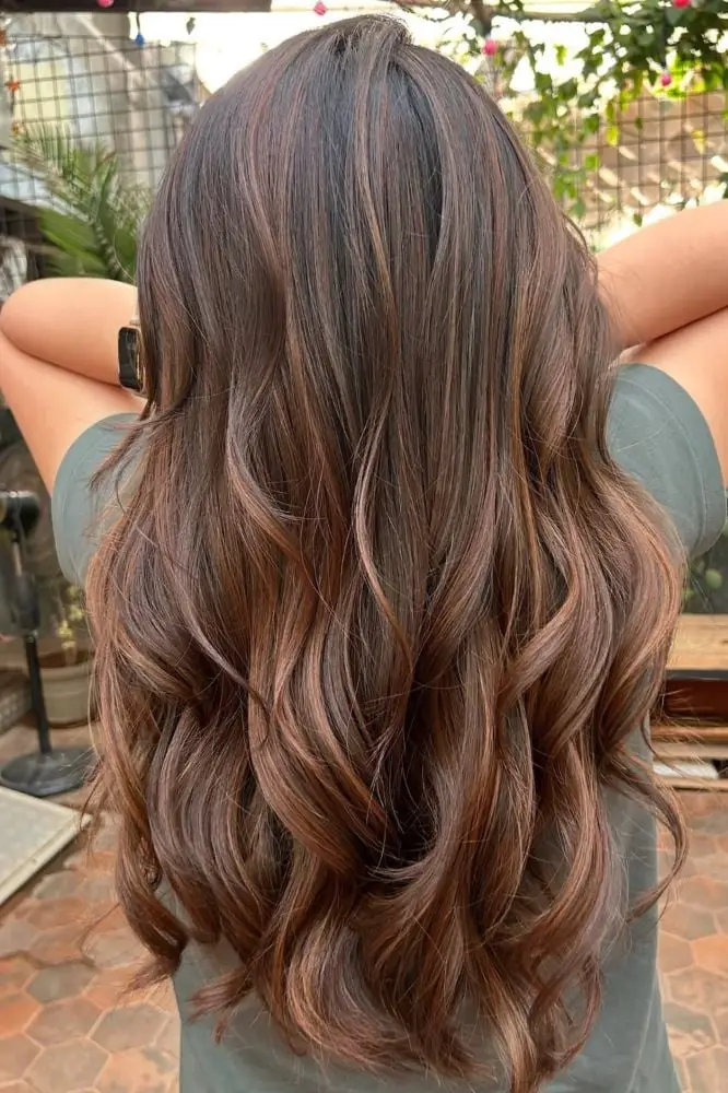 Dark Brown With Ash Brown Highlights Natural Waves — Simple Dark Brown Highlights