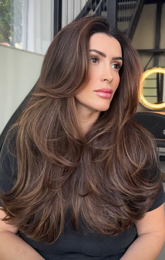 Dark Brown With Subtle Chestnut Highlights Dark Brown With Subtle Chestnut Highlights — Simple Dark Highlights