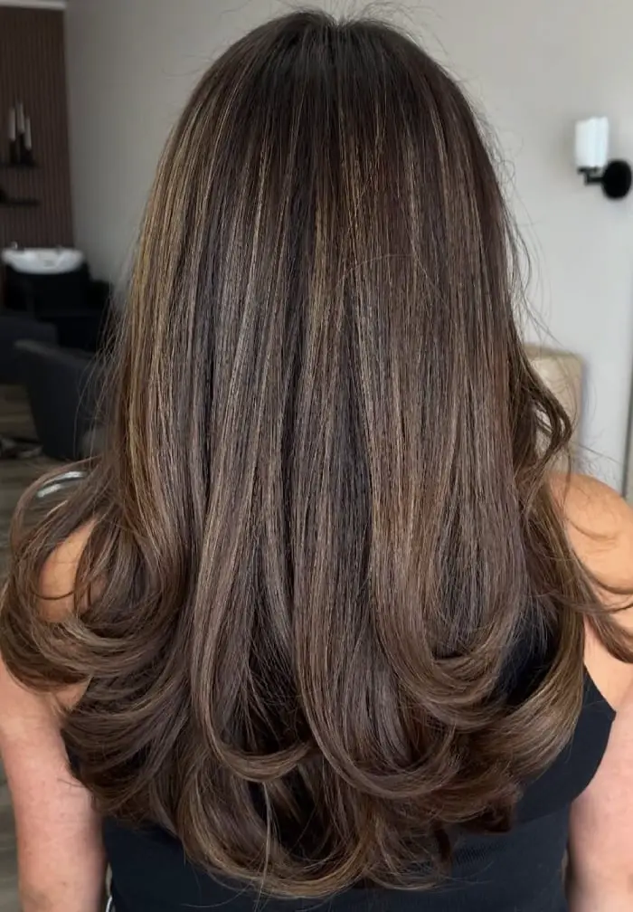 Dark Brown With Lighter Brown Highlights Back View Dark Brown With Lighter Brown Highlights Back View — Simple Dark Highlights