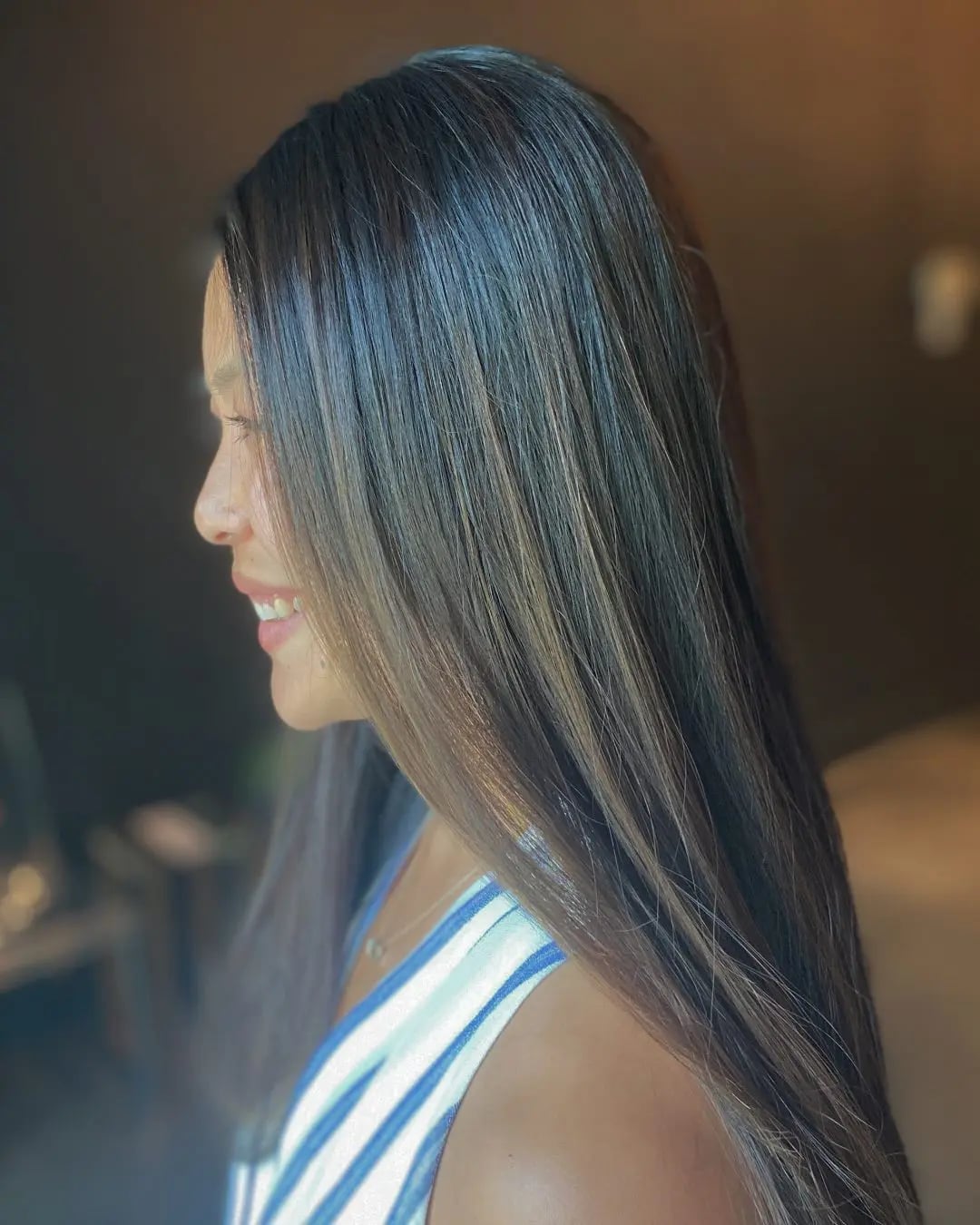 Dark Brown With Subtle Lighter Brown Straight Fine Hair, Mid-Back Dark Brown With Subtle Lighter Brown Straight Fine Hair, Mid-Back — Simple Dark Highlights