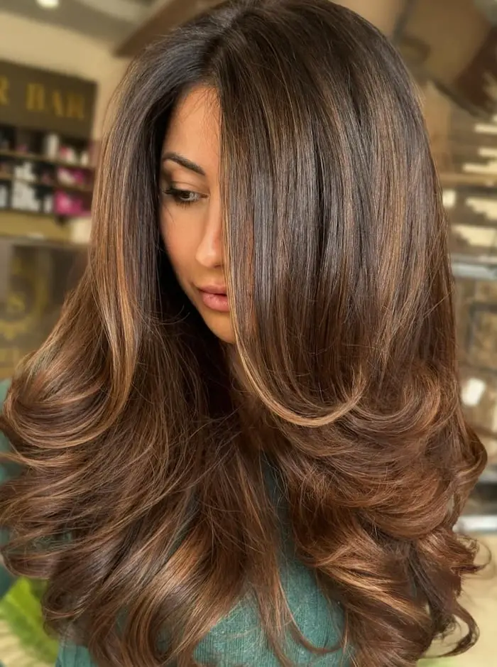Voluminous Dark Brown With Warm Lighter Brown Highlights Voluminous Dark Brown With Warm Lighter Brown Highlights — Simple Dark Highlights