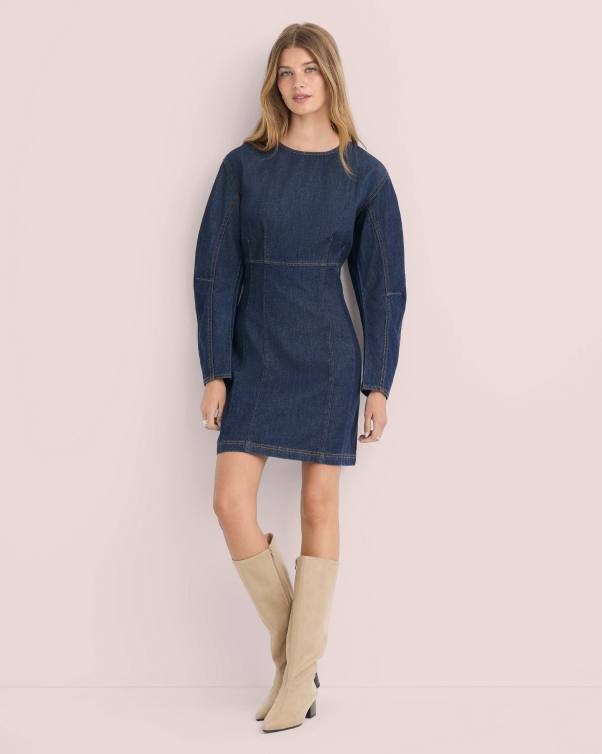 Denim Dress With Puffed Sleeves — Simple Denim Dress Outfits